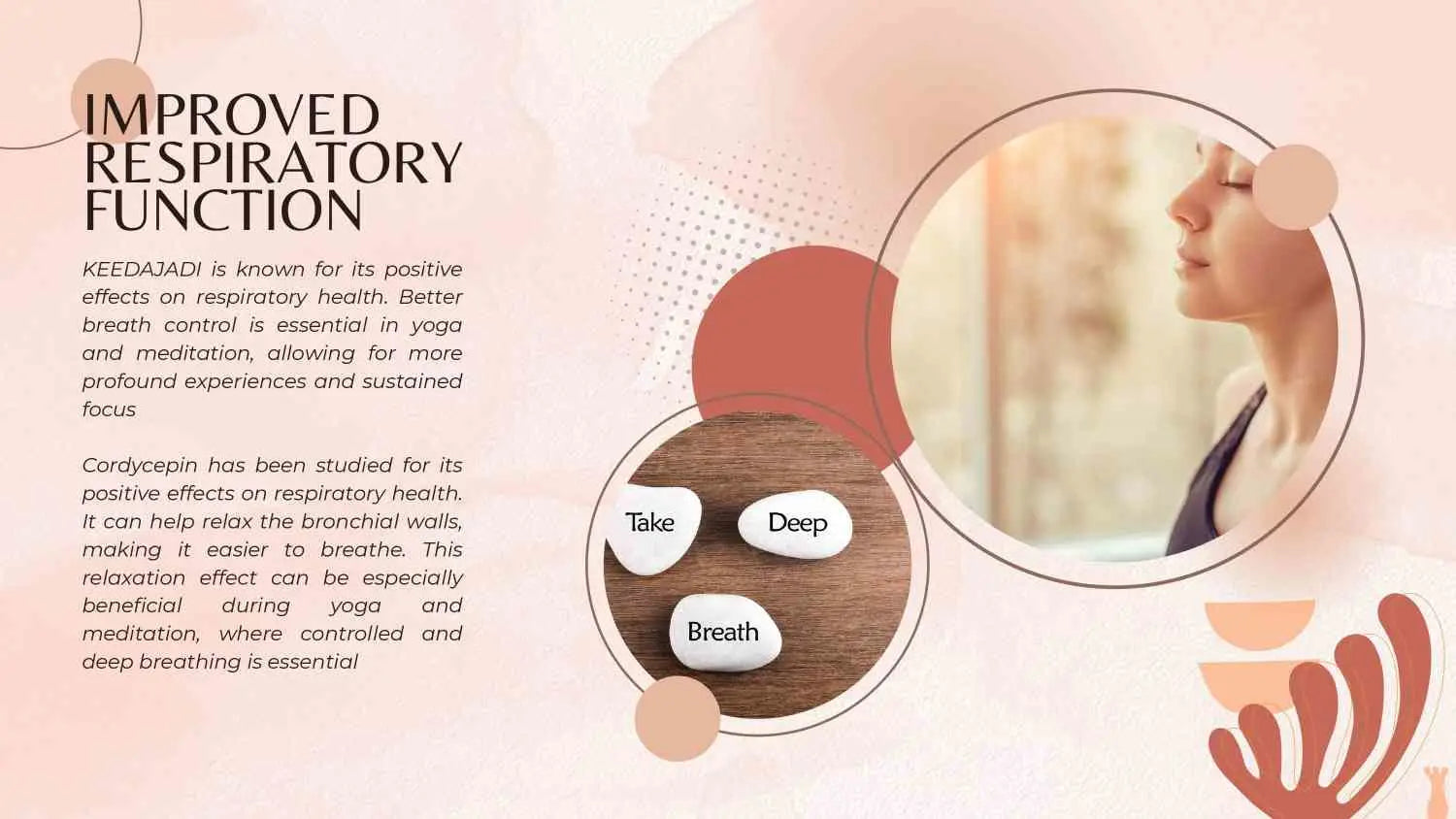 Breathing Bliss: Unlocking Improved Respiratory Function with KEEDAJADI Cordyceps Militaris Mushroom
