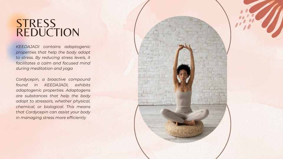 KEEDAJADI Cordyceps Militaris and Its Adaptogenic Powers for Stress Reduction and Enhanced Meditation