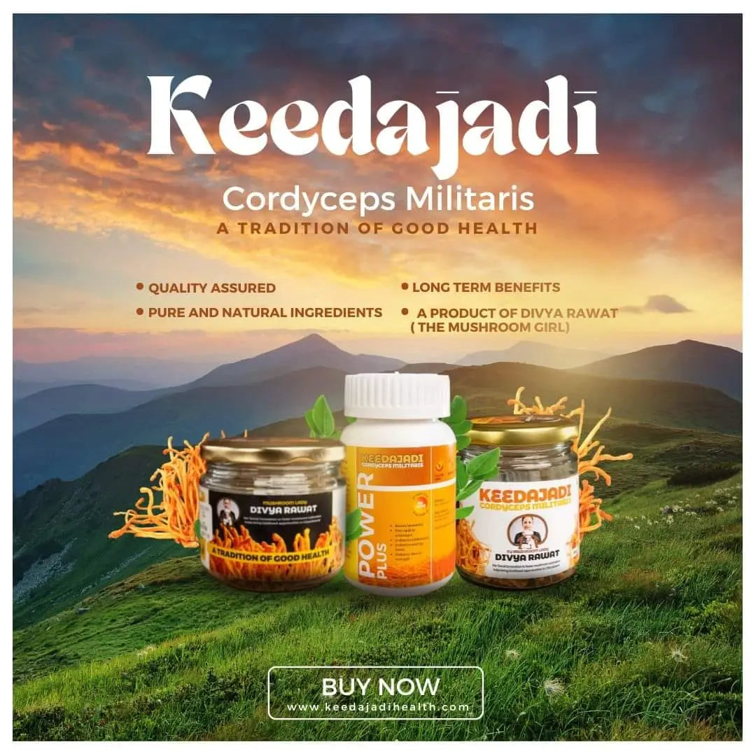 KEEDAJADI Products