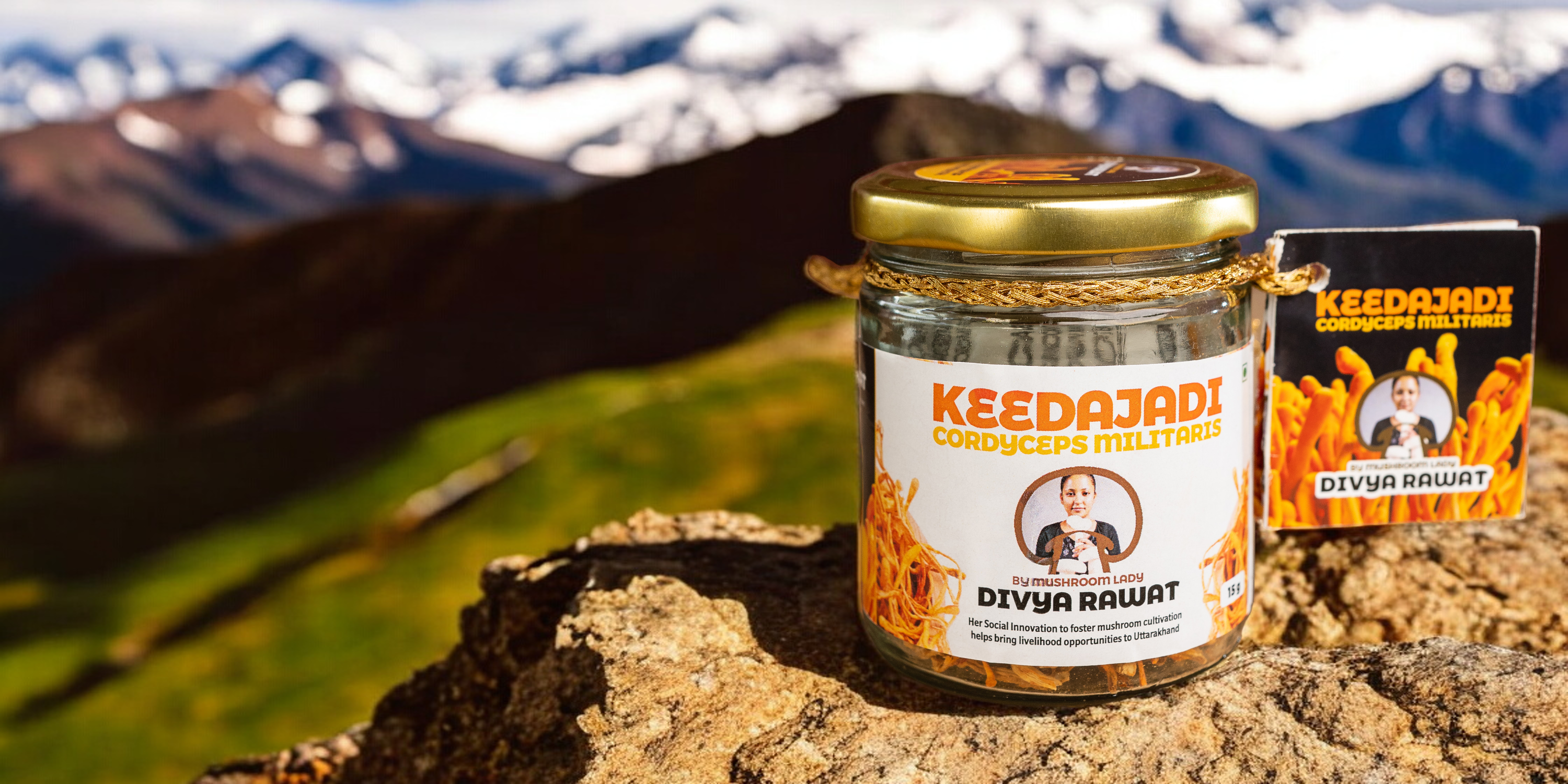 Keedajadi Cordyceps militaris by the Mushroom Lady Divya Rawat – keedajadihealth.com