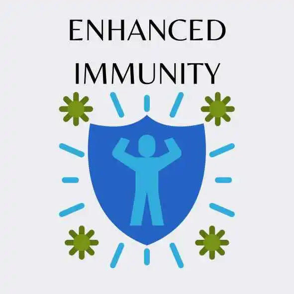 Keedajadi Cordyceps militaris enhanced immunity