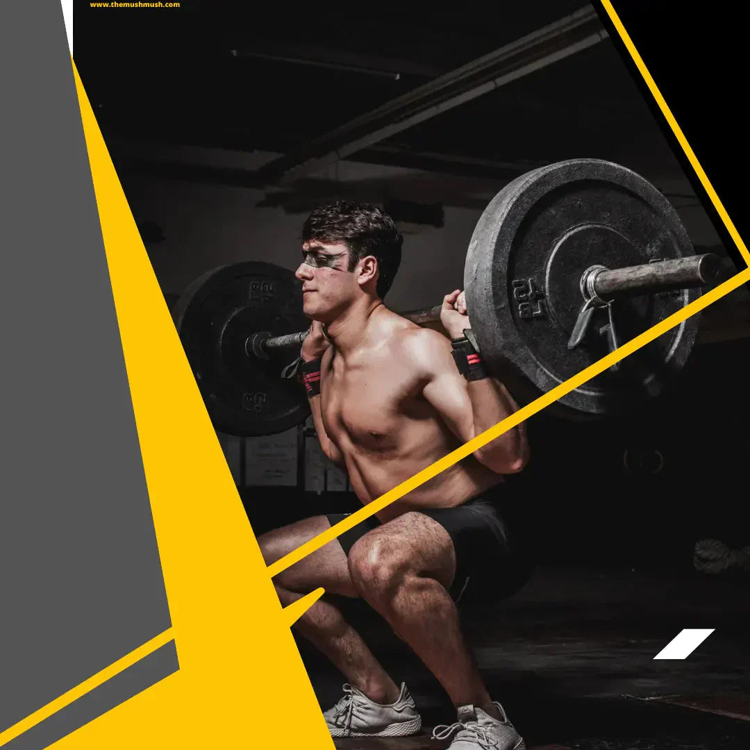 KEEDAJADI Cordyceps Militaris Role As A Pre-Workout Supplement