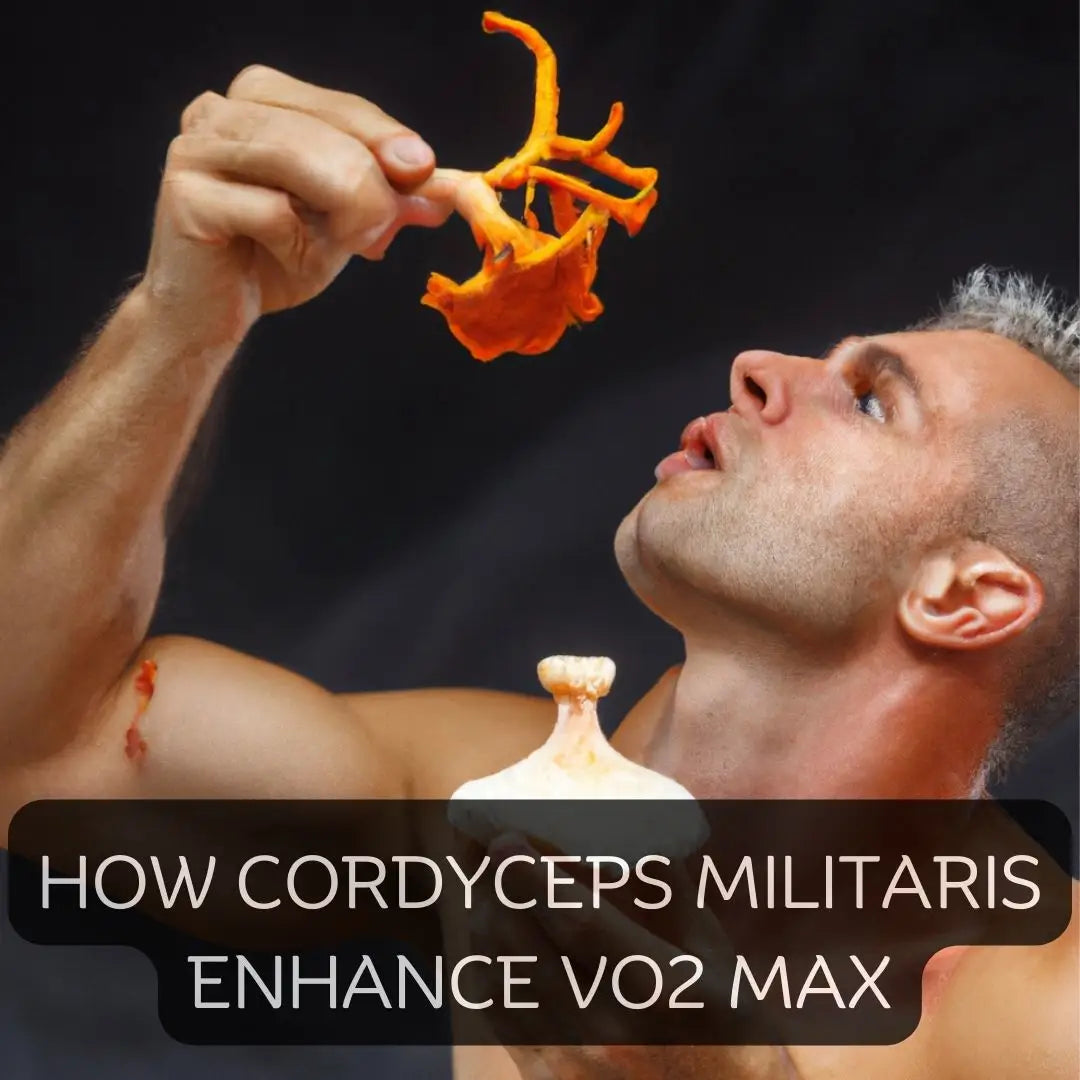 Unleashing the Power of Keedajadi Cordyceps militaris: Enhancing VO2 Max at the Cellular and Organ Level