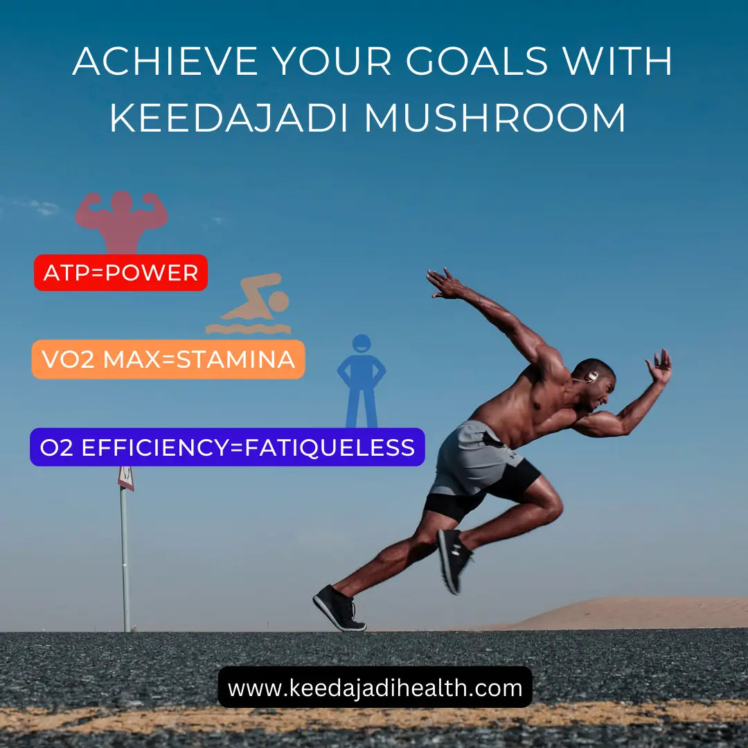What is ATP, VO2 max and why do we feel fatigue? Do you know achieving all these are as easy as eating mushroom KEEDAJADI cordyceps