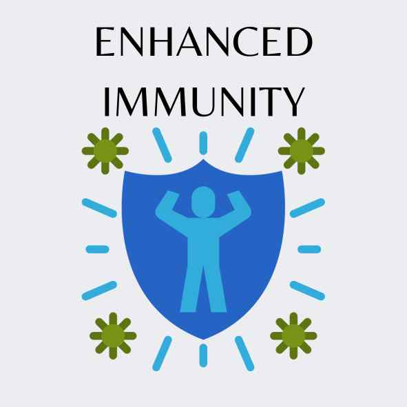 Keedajadi Cordyceps militaris enhanced immunity