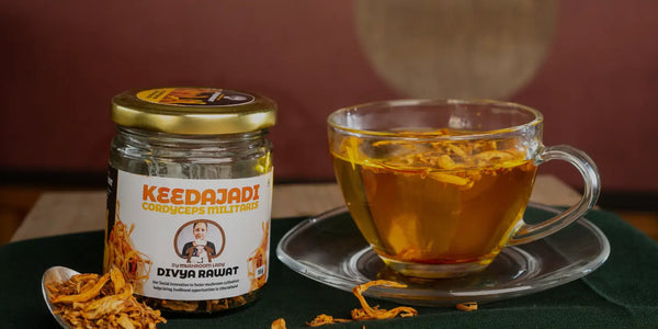 keedajadi cordyceps militaris della signora dei funghi divya rawat