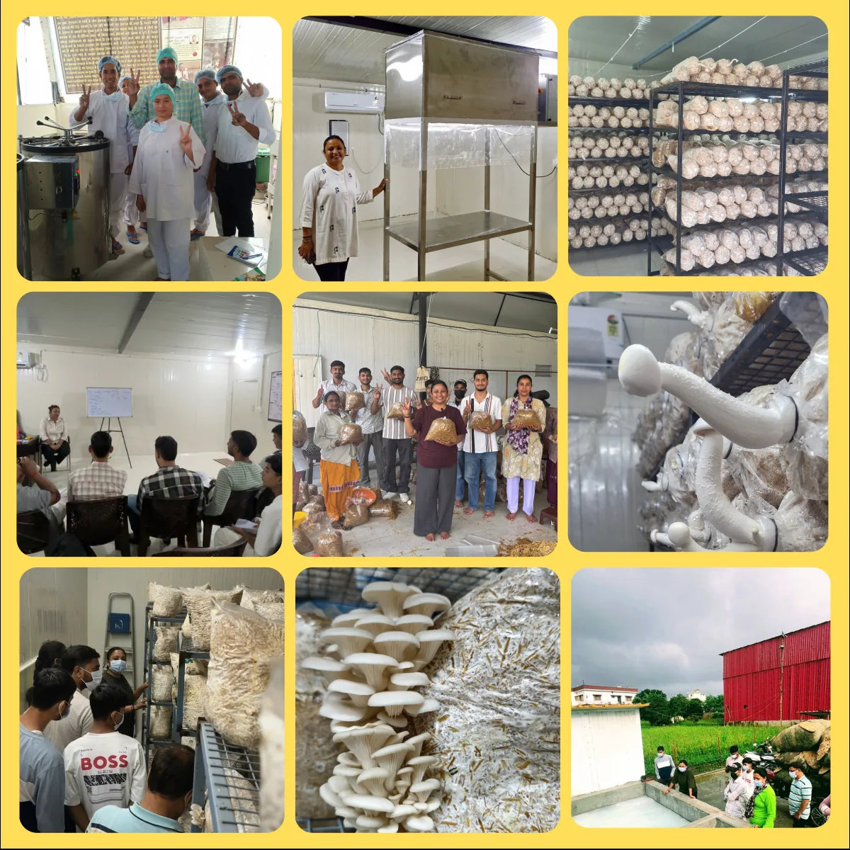 Mushroom Cultivation & Cordyceps Cultivation Training